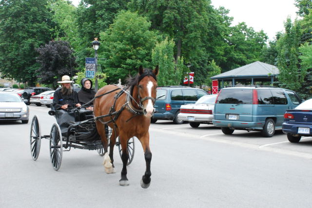 Mennonites