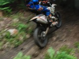 DSC_0055 (2)